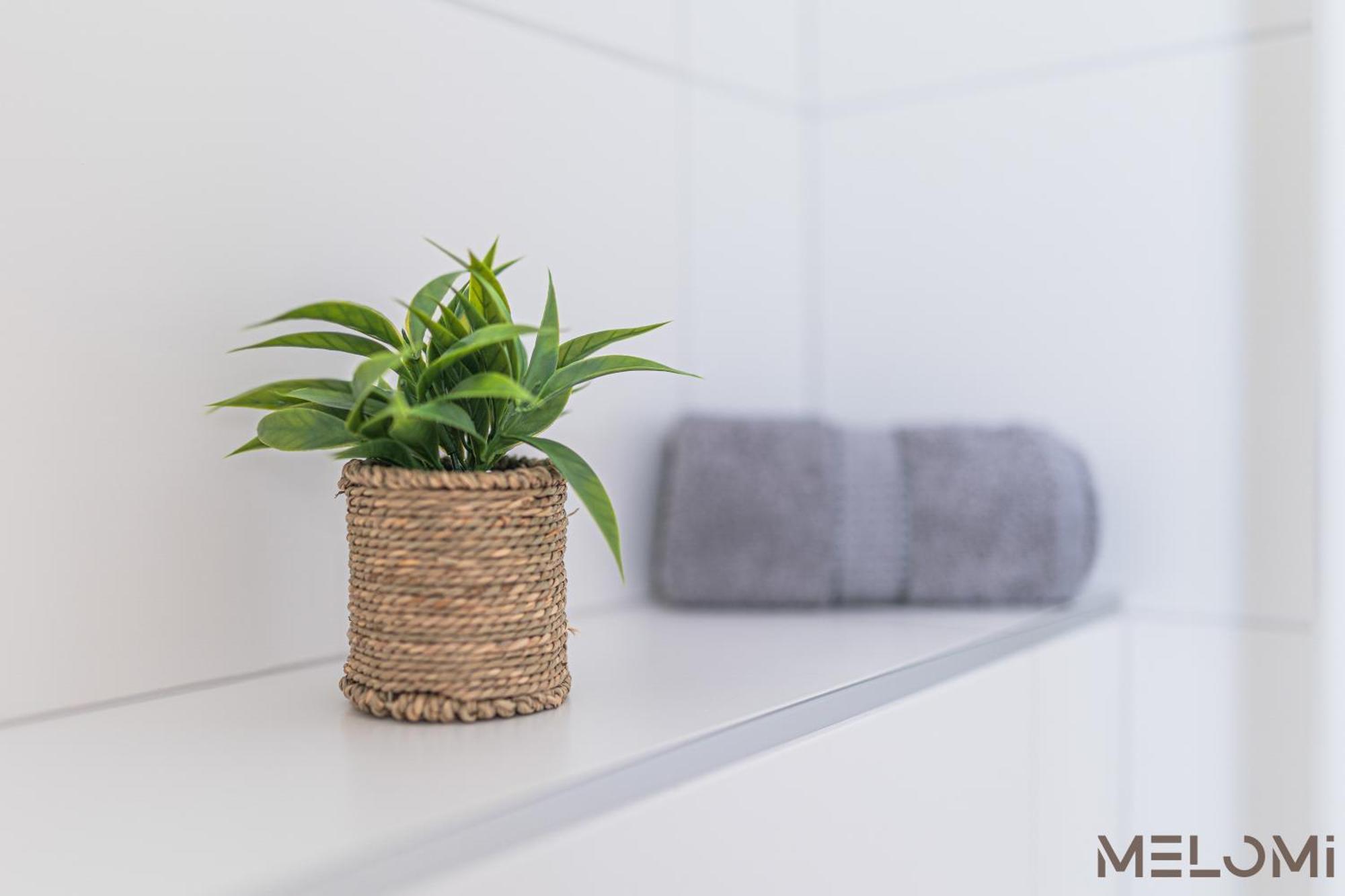 Melomi 1 Apartman Sárvár Esterno foto